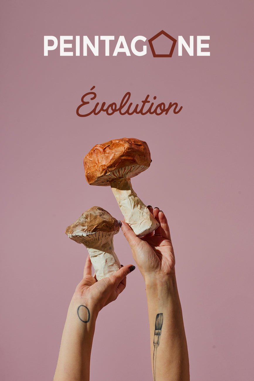 Évolution collection