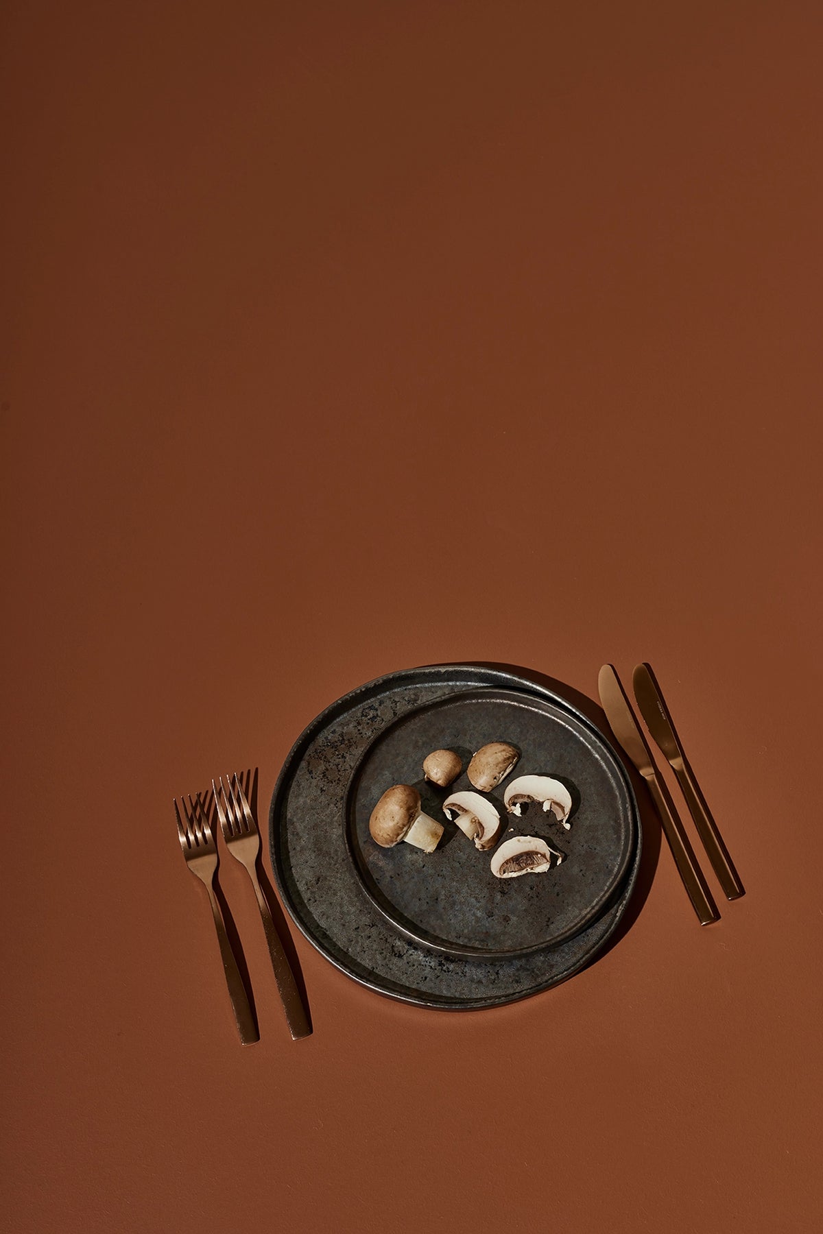 Peintagone brown and earth-tone paints – natural, warm decorating inspiration