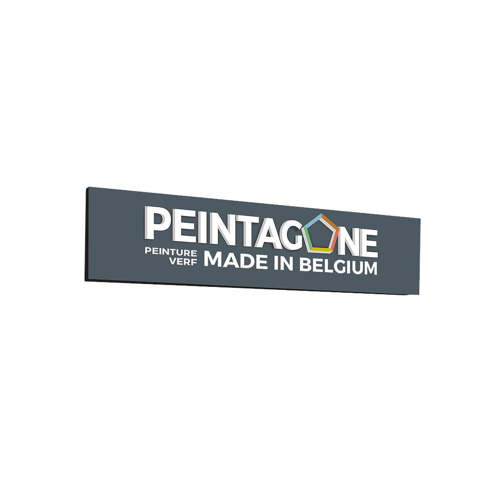 PeintaNeon Sign