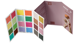 [PEPCEVO] PeintaPop-up Chart - Évolution