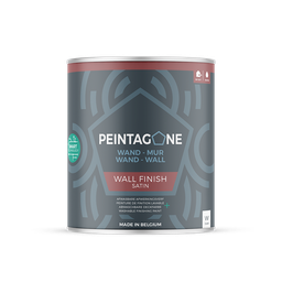 Wall Finish Satin